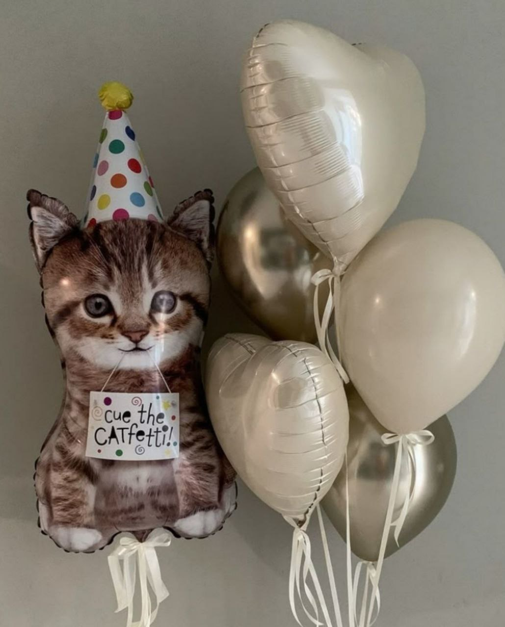 Котёнок в колпаке