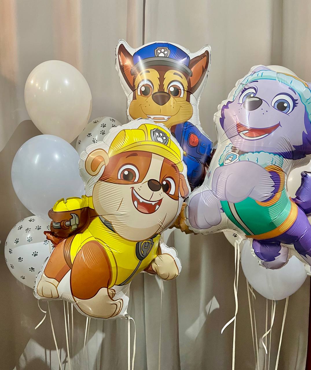 Сет "Герои Щенячий патруль"