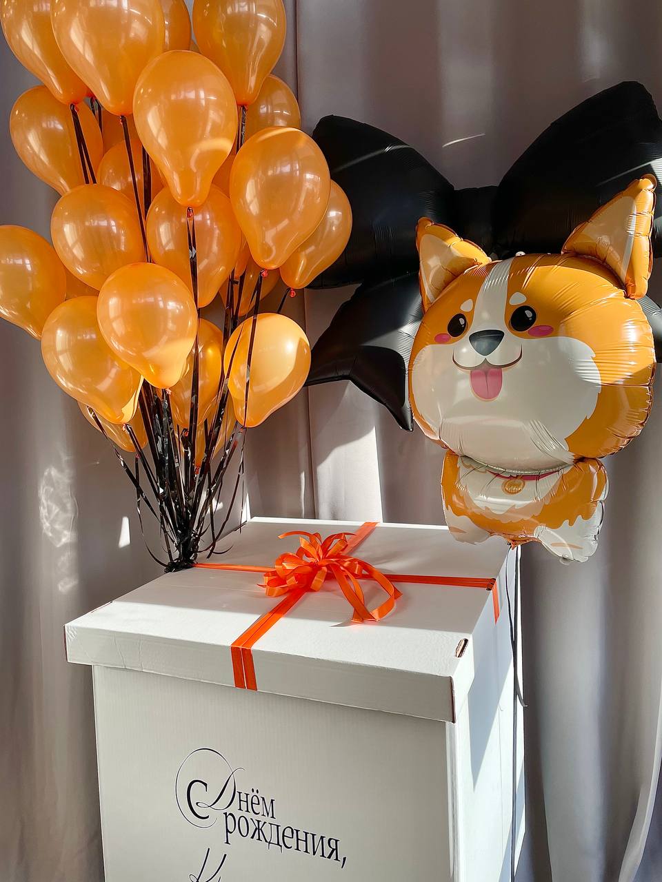 Коробка-сюрприз "Корги"