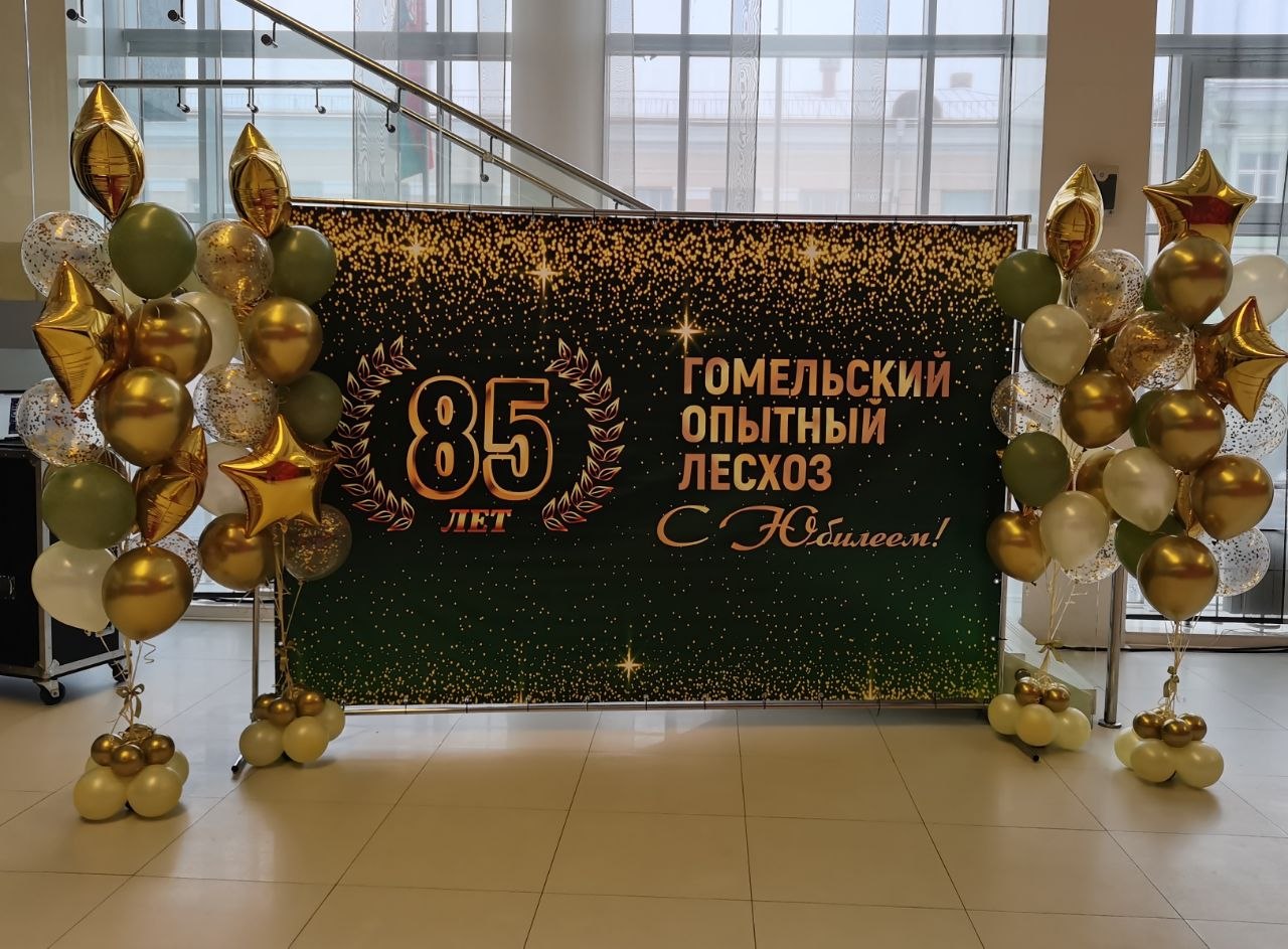 Фотозона с гелиевыми шарами